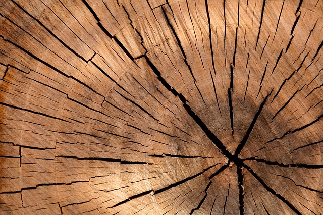 Masterclass - training over hout - introductie - interieurprofessionals platform - interieurontwerper - Interieurdesigner - online - platform